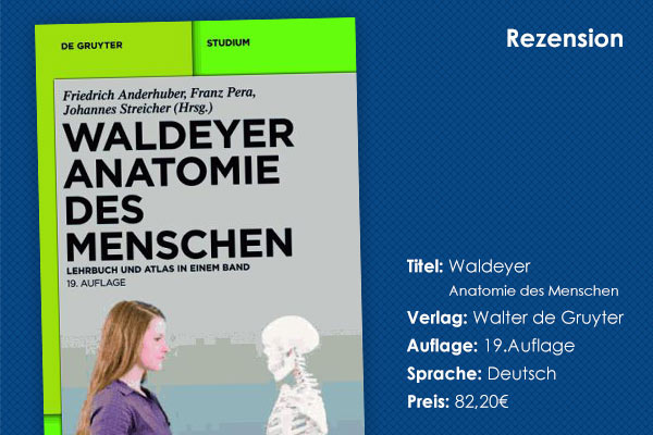 Buchrezension „Waldeyer - Anatomie des Menschen“