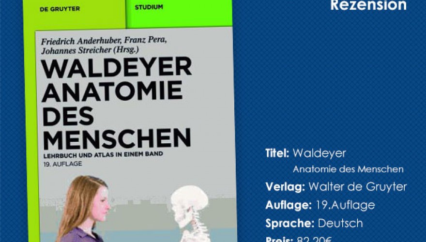 Buchrezension „Waldeyer - Anatomie des Menschen“