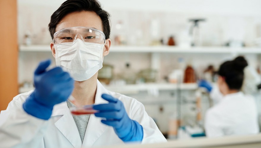 Über den Pharmahersteller Dr. KADE Berlin (Credit: Edward Jenner von Pexels)