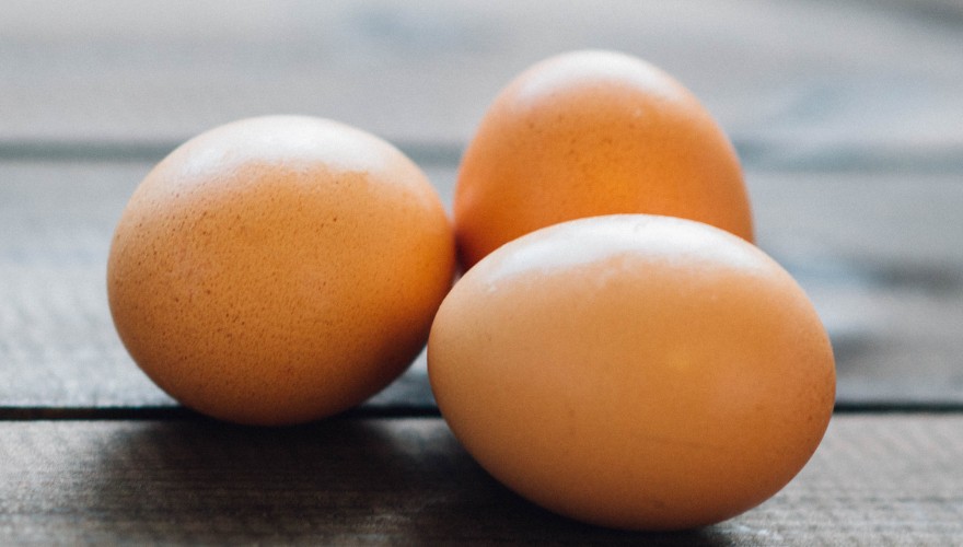 Gesundheitsministerin Rendi-Wagner für EU-weite Herkunftskennzeichnung bei verarbeiteten Eiern